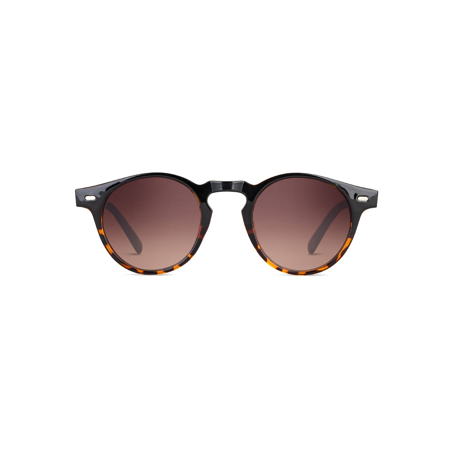 Twig Lunettes de soleil