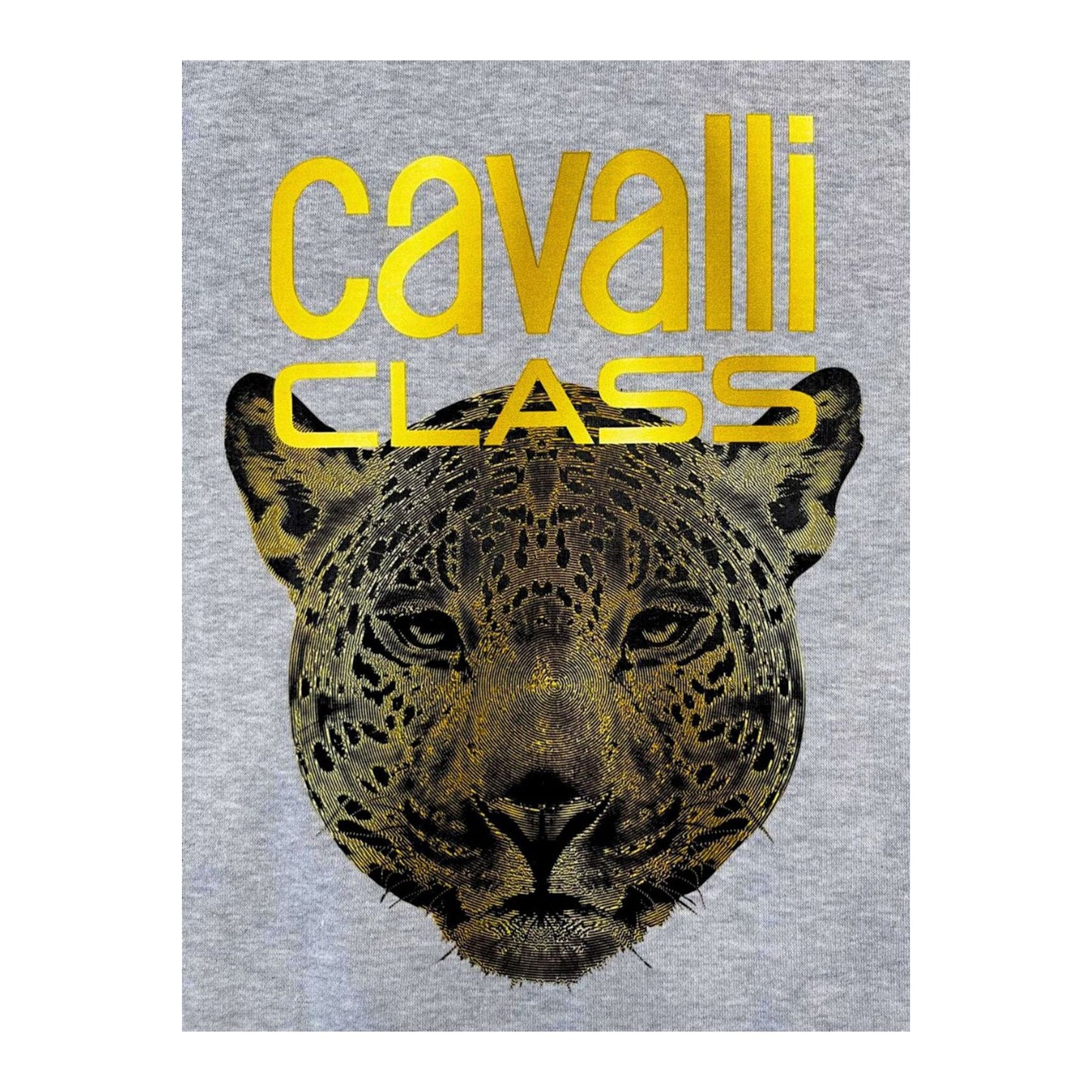 Cavalli Class Sweat-shirts